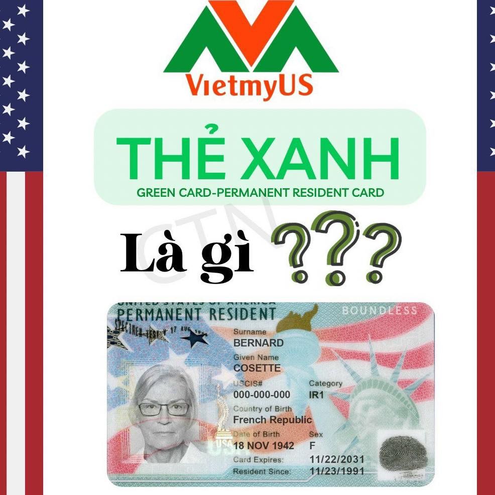 Thẻ xanh Mỹ là gì? Cơ hữu sở hữu thẻ xanh Mỹ nhanh chóng, hợp pháp - Vietmyus