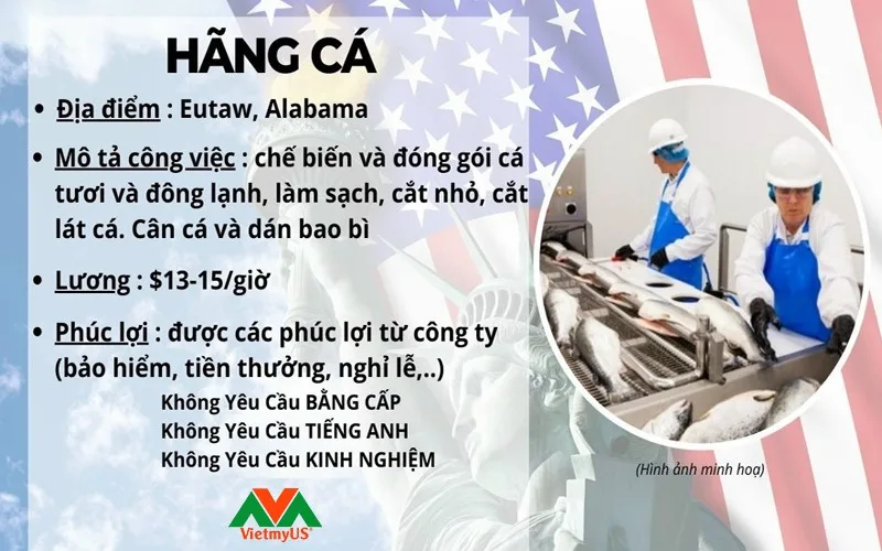 Tuyển dụng lao động Eb3 nhân viên hãng cá - Vietmyus