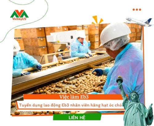 Tuyển dụng lao động Eb3 nhân viên hãng hạt óc chó - Vietmyus