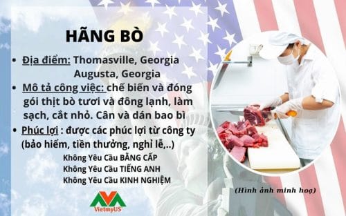 Tuyển dụng việc làm nhân viên hãng bò EB3 tại Mỹ - VietmyUS