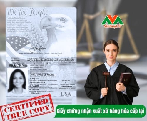 Giấy chứng nhận xuất xứ hàng hóa cấp lại do bị mất, thất lạc - VIETMYUS