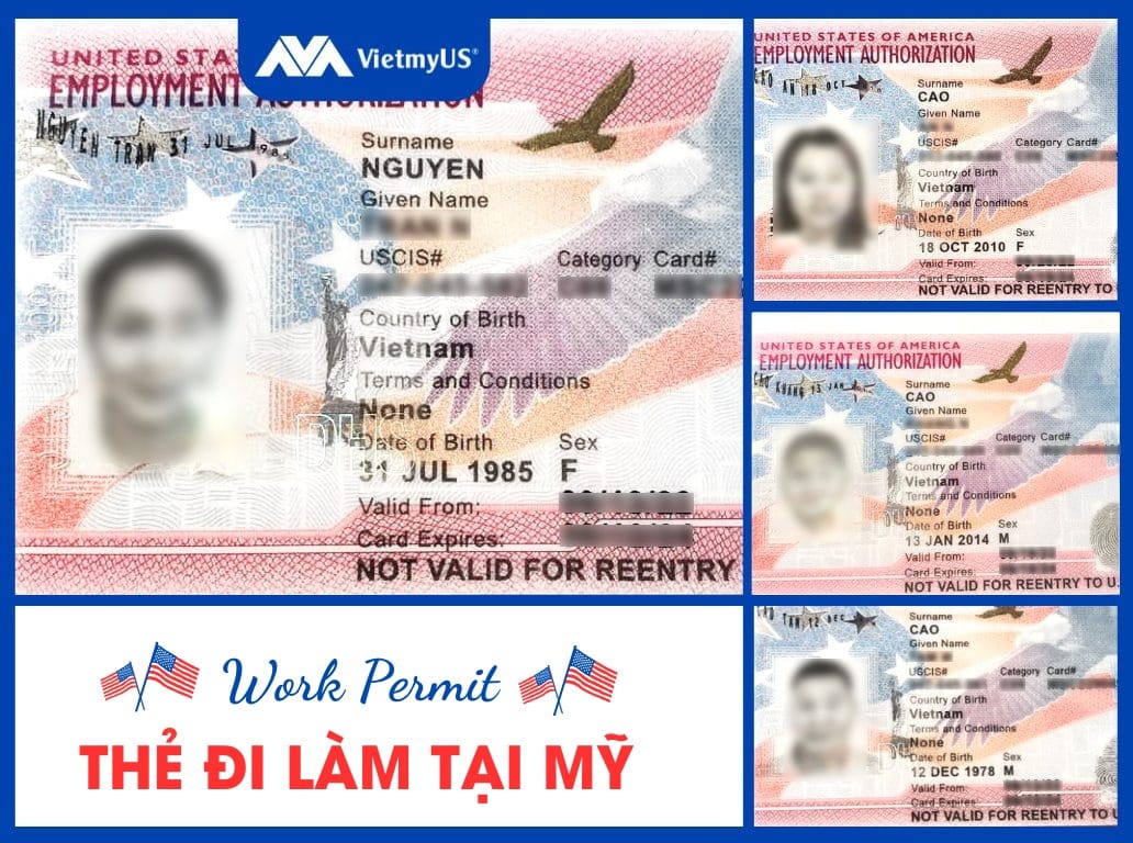 xin-giay-phep-lao-dong-cho-du-hoc-sinh-my-work-permit