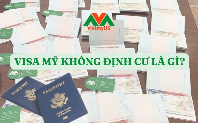 Visa-My-khong-dinh-cu-la-gi