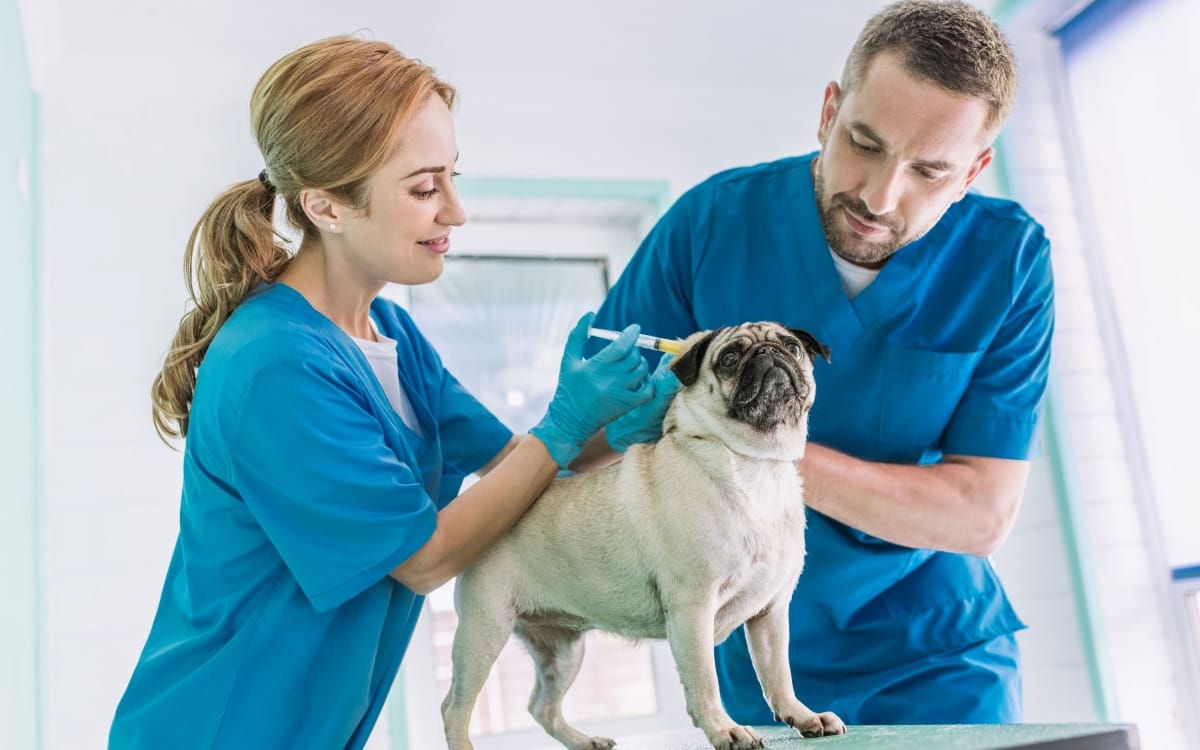 Nganh-Nong-nghiep-va-Thu-y