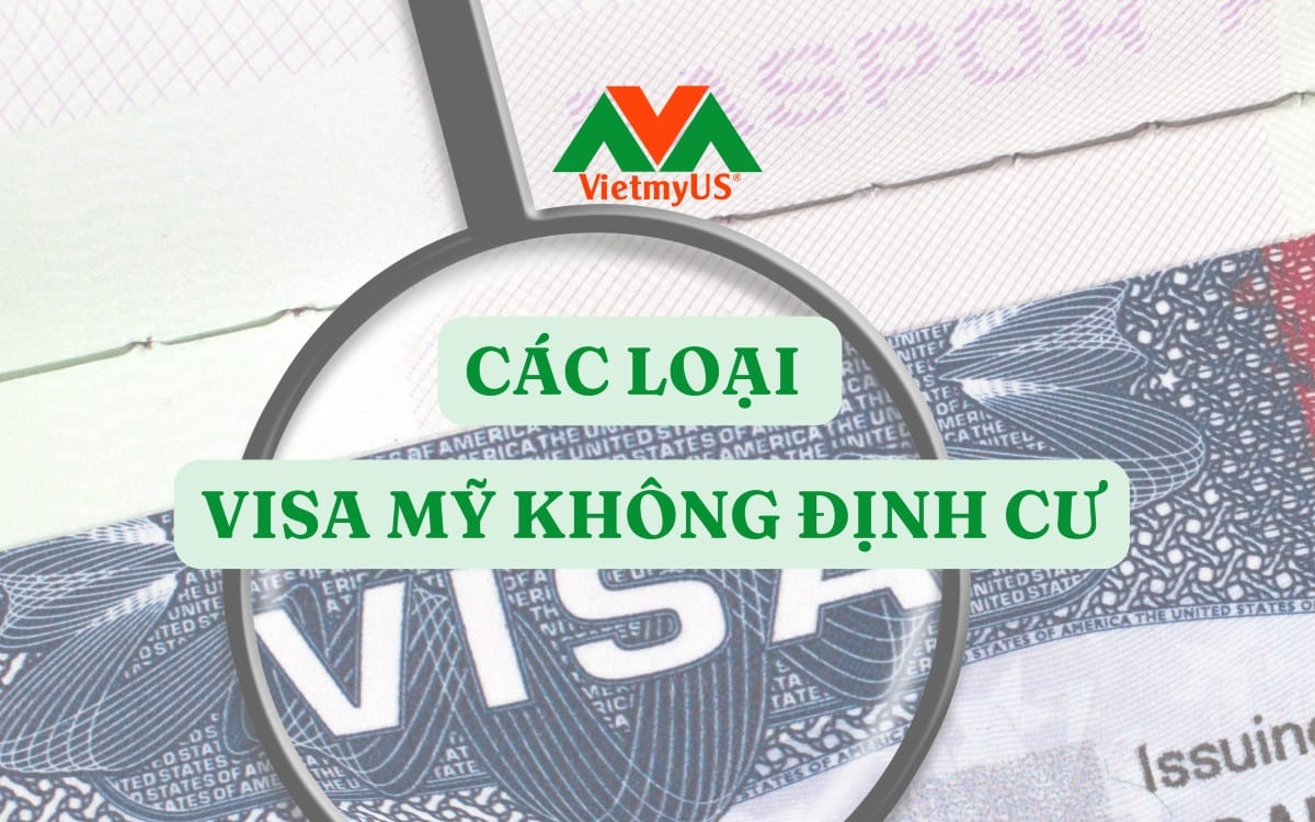 cac-loai-Visa-My-khong-dinh-cu