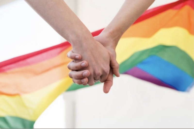 Dieu-kien-bao-lanh-hon-nhan-dong-tinh-theo-dien-hon-the-hon-phu